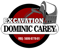 Excavation Dominic Carey